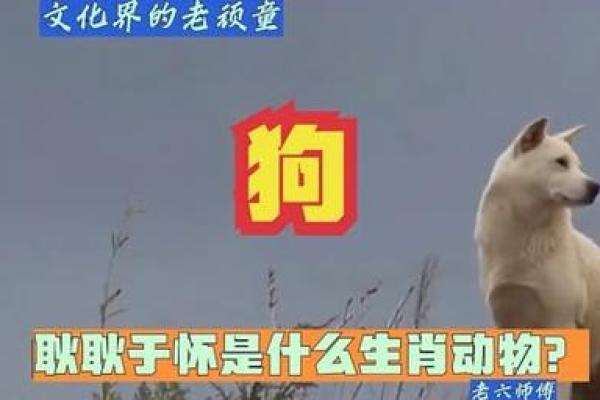 嫌肥挑瘦是什么生肖(嫌肥挑瘦是什么生肖) 嫌肥挑瘦是什么生肖(嫌肥挑瘦是什么生肖)