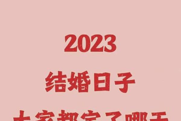 2023年2月份结婚吉日一览表(2023年结婚的好日子 结婚吉日大全) 2023年2月份结婚吉日一览表(2023年结婚的好日子 结婚吉日大全)