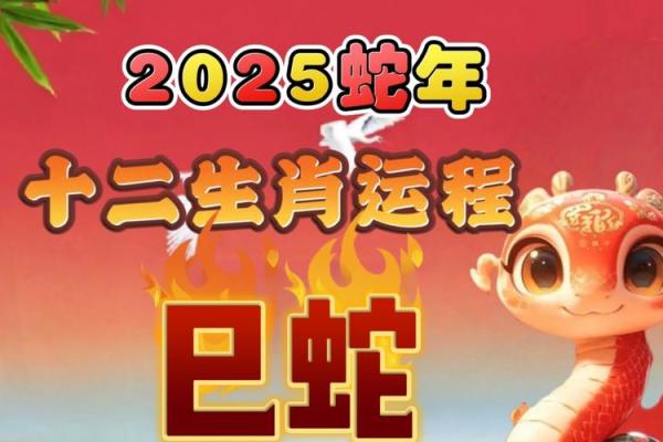 属蛇人2025年每月运势运程每月 2025属蛇人逐月运势详解全年运程完整解析 属蛇人2025年每月运势运程每月 2025属蛇人逐月运势详解全年运程完整解析