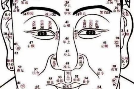 坟地周围动土有何讲究(坟地周围的吉凶)