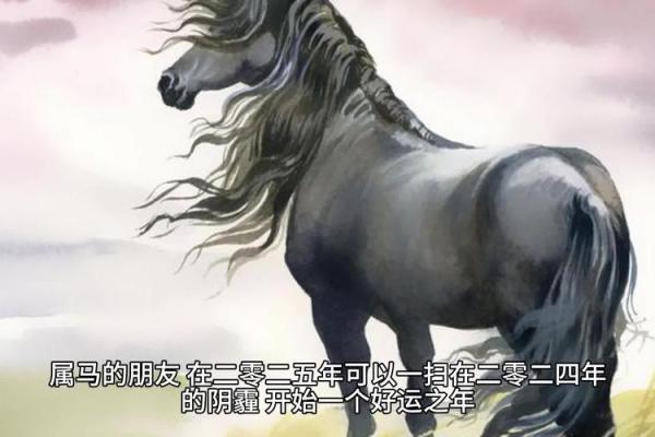2025年属马人财运 2025年属马人财运方位