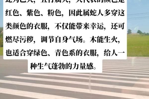 2025年属蛇大忌颜色_2025年属蛇大忌颜色是什么