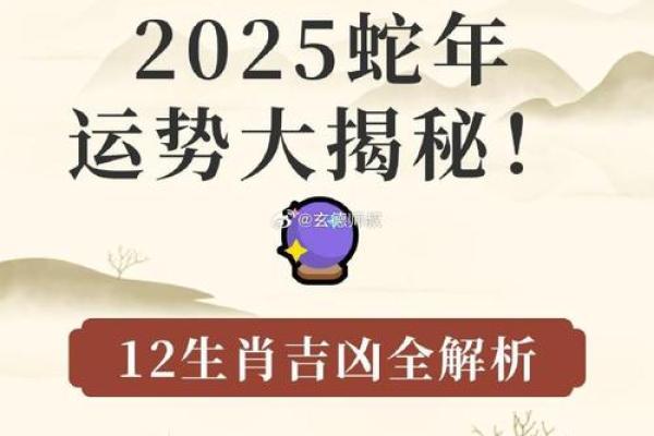 1990年属马人2025蛇年运势详解全年运程吉凶预测