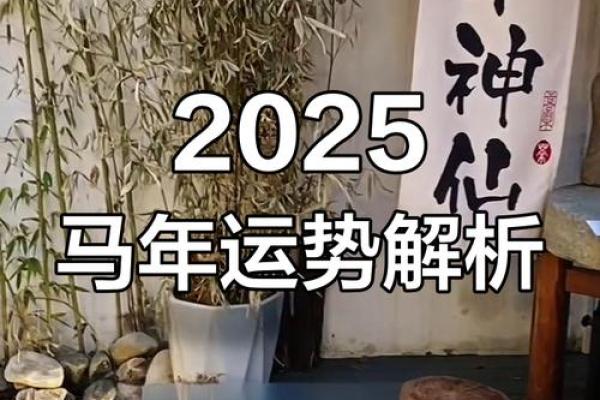 2025年运势属马_2025年属马的人的全年运势如何 2025年运势属马_2025年属马的人的全年运势如何