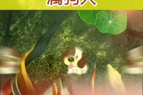 1946年属狗的寿命多长_1946属狗人的寿命预测女命 1946年属狗的寿命多长_1946属狗人的寿命预测女命