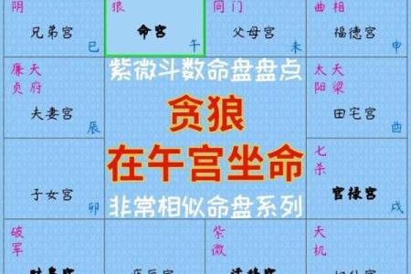 福德宫贪狼化禄 福德宫贪狼化禄财运亨通的命理奥秘解析