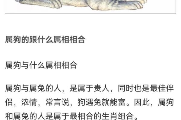 99兔女最佳婚配属相_兔最忌讳的三个属相