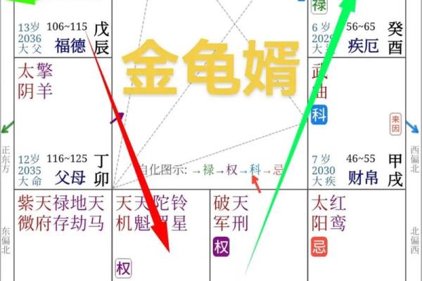 夫妻宫自化科_夫妻宫自化科要谈很久 夫妻宫自化科_夫妻宫自化科要谈很久