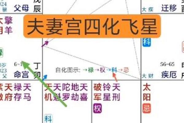 夫妻宫化禄入田宅宫_夫妻宫化禄入田宅宫婚姻与财富的双重福运解析 夫妻宫化禄入田宅宫_夫妻宫化禄入田宅宫婚姻与财富的双重福运解析
