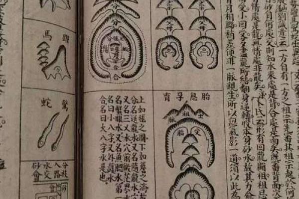 阴宅动土口诀念法(阴宅动土口诀念法大全) 阴宅动土口诀念法(阴宅动土口诀念法大全)