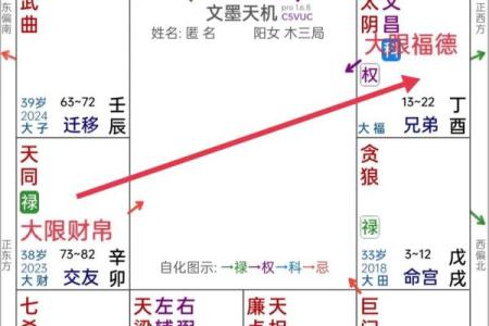 飞星派紫微斗数解析精准预测命运的秘密