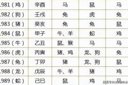 属狗和属牛财运合不合揭秘生肖配对财富密码