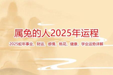 2025年属兔人运势解析1987年出生者运程全揭秘