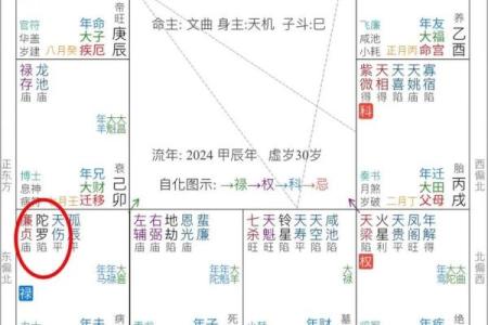 夫妻化忌入官禄_夫妻化忌入官禄冲夫妻