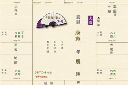 夫妻宫紫微天相_夫妻宫紫微天相 配偶