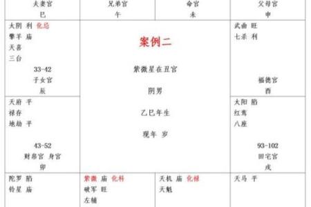 夫妻宫有紫微星的女人_紫微星入夫妻宫揭秘女人婚姻运势的关键