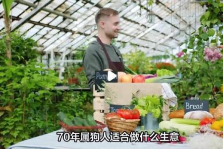 1970年属狗人寿命表揭秘健康与长寿的关键