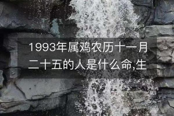 1993年3月属鸡是什么命_93年属鸡31岁有一劫