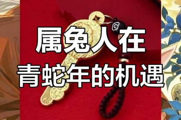 属兔2025年运势及运程详解 属兔2025年运势及运程详解每月 属兔2025年运势及运程详解 属兔2025年运势及运程详解每月