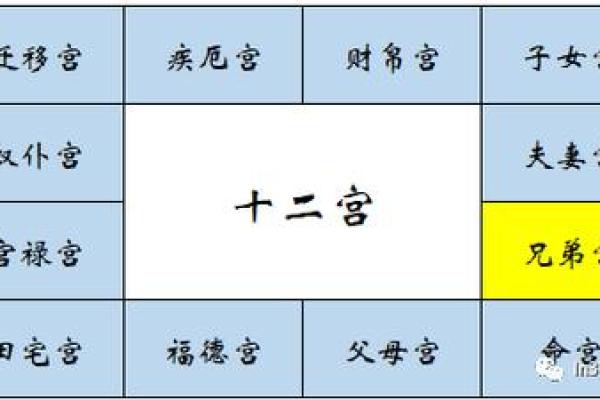 福德宫紫微星_福德宫紫微星旺