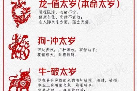 2025属猪犯太岁_2025属猪犯太岁是什么意思