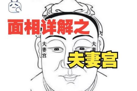 八字夫妻宫在哪_八字夫妻宫位置解析如何准确找到你的婚姻宫位