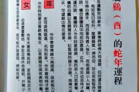 2025年鸡运势详解财运事业爱情全面解析