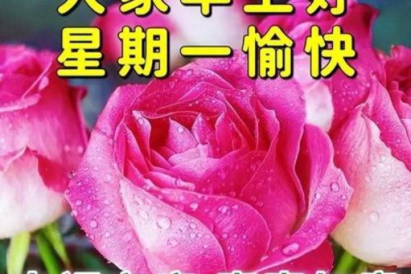 二月比较好的日子 二月比较好的日子