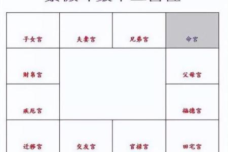 2025年2月27日子时女命紫微斗数全解盘