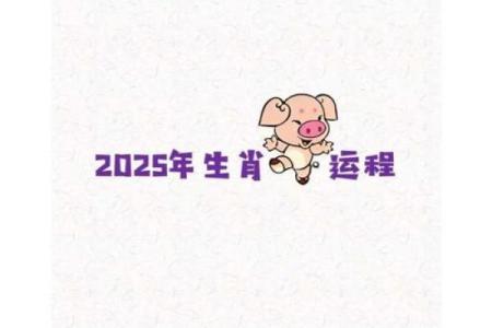 2025年属猪的运程_2025年属猪1995全年运势