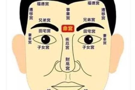 凤阁入夫妻宫 凤阁入夫妻宫揭秘婚姻宫位的神秘力量