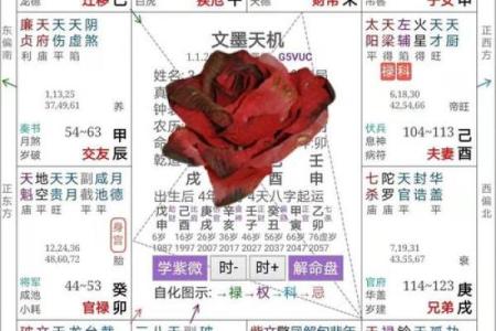 福德宫看配偶年纪_福德宫看配偶家境