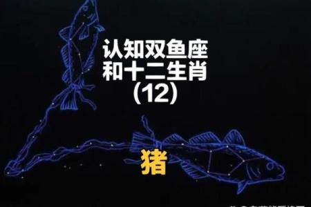 2025年属猪女要出大事_2025年属猪女要出大事双鱼座运势