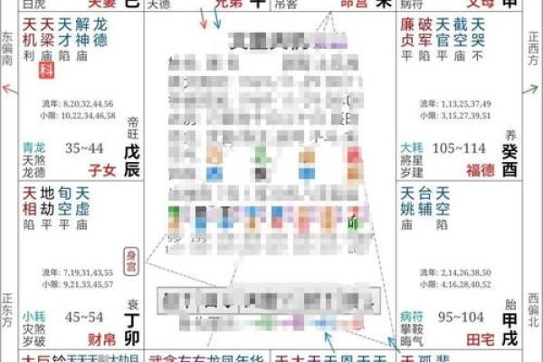 2025年2月17日卯时男命紫微斗数全解盘
