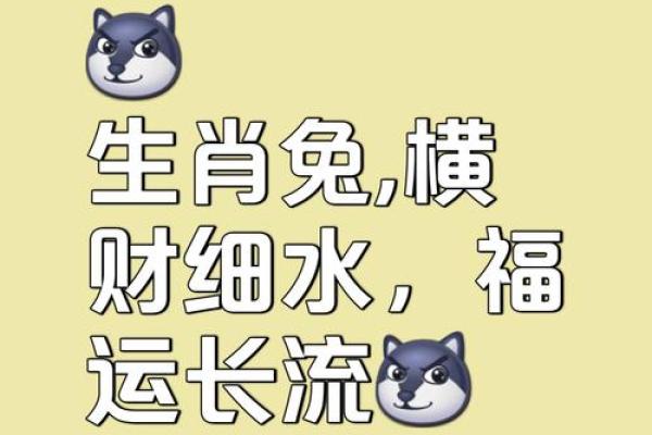 属兔人2020年适合搬家吗(属兔人2021年适合搬家吗) 属兔人2020年适合搬家吗(属兔人2021年适合搬家吗)