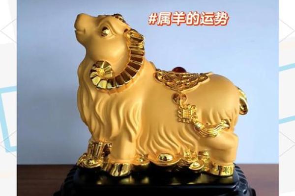 1979年属羊人2024年运势及运程_1979年属羊人2024年运势详解运程走向与吉凶预测