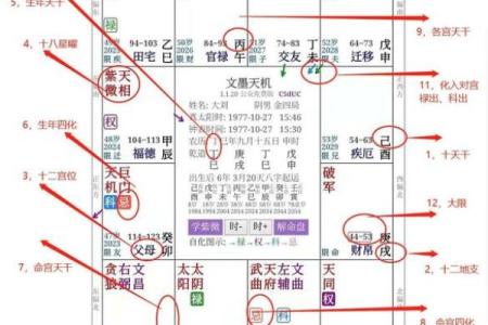 2025年3月4日子时男命紫微斗数全解盘