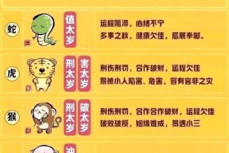 2025属猪的要躲着谁 2025年属猪人需警惕的三大生肖避开这些人运势更旺