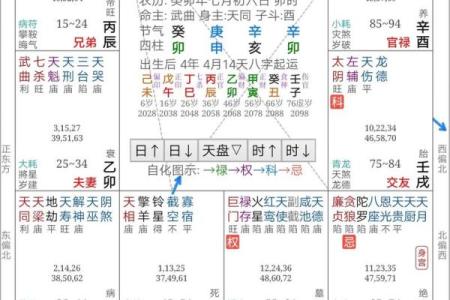 2025年2月19日子时女命紫微斗数全解盘