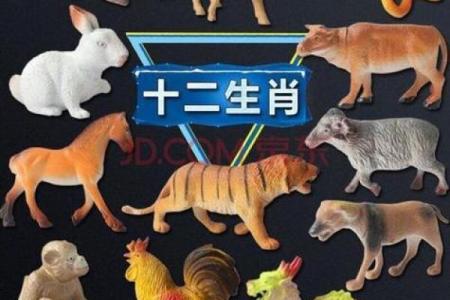 生灵涂炭是什么生肖