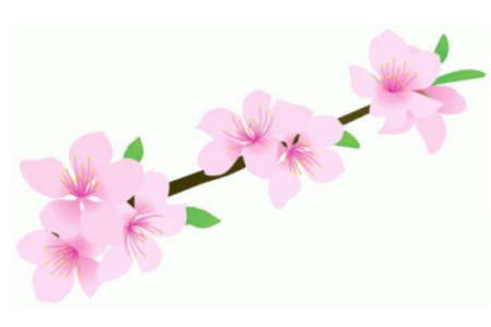 桃花初开打一生肖