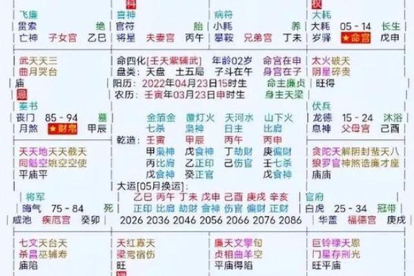 2025年3月29日寅时男命紫微斗数全解盘 2025年3月29日寅时男命紫微斗数全解盘