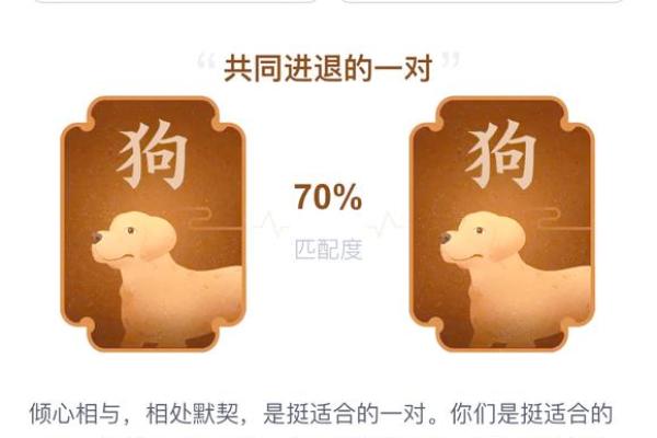 94年属狗2025年姻缘_94年狗正缘在哪年 94年属狗2025年姻缘_94年狗正缘在哪年