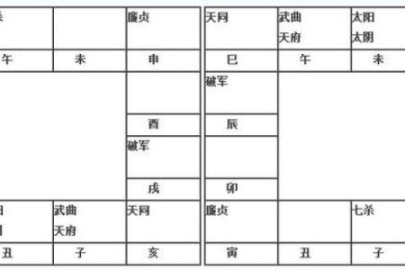 2025年2月18日子时女命紫微斗数全解盘