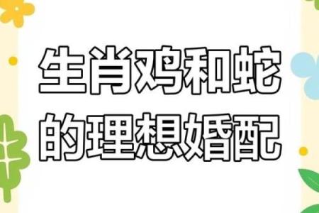 属鸡男命中注定的妻子是谁揭秘最佳婚配对象