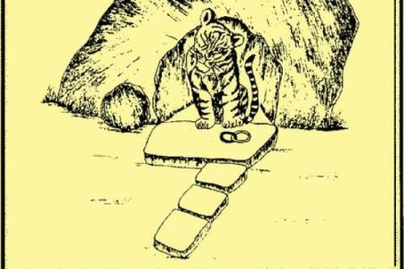 枪林弹雨是什么生肖