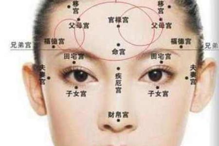 福德宫在哪个位置 福德宫位置详解探寻风水宝地的奥秘