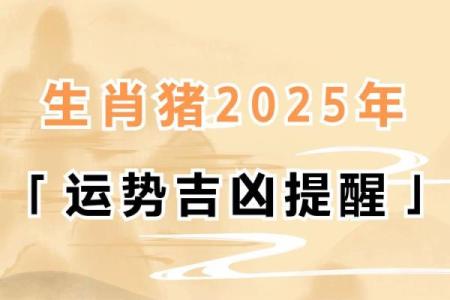 属猪人2025_属猪人2025年幸运色