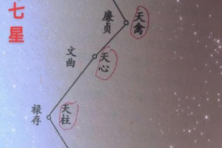 福德宫紫微贪狼星 福德宫紫微贪狼星解析命理运势与人生指引