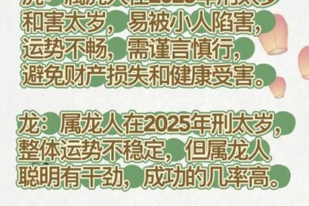 属猪的2025_属猪的2025犯太岁怎么破解